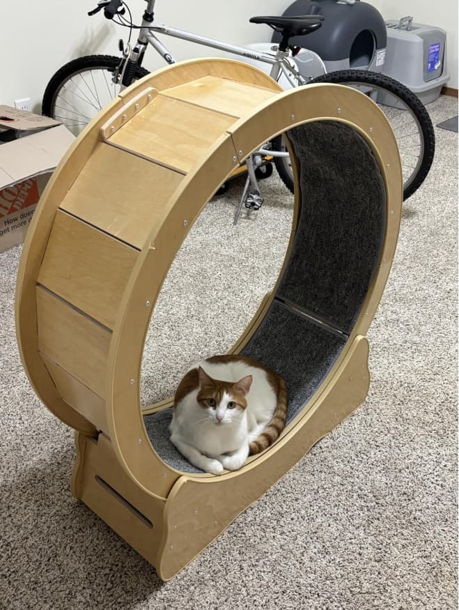 Unlocking the Benefits of Cat Exercise Wheels: Why Your Indoor Cat Deserves a Cat Running Wheel