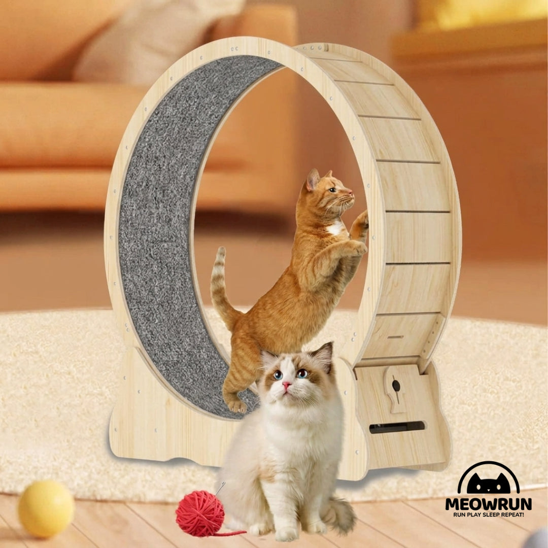MeowRun™ Silent Wooden Cat Exercise Wheel