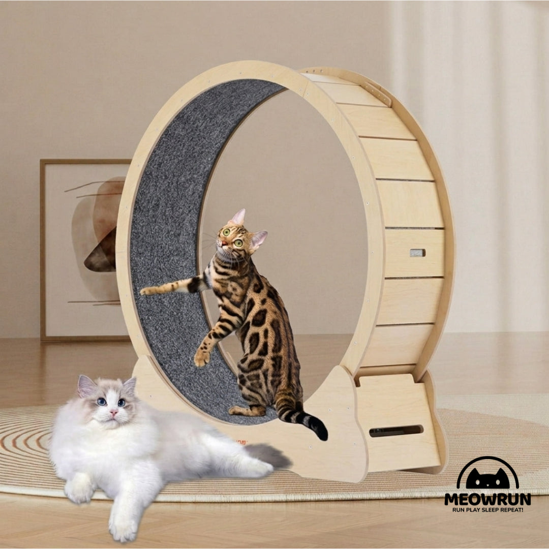 MeowRun™ Silent Wooden Cat Exercise Wheel